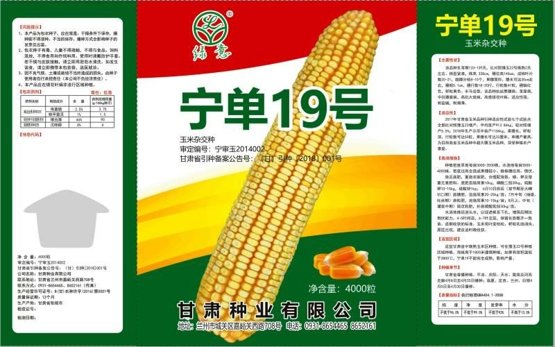 宁单19号玉米种子 穗大粒多，单穗粒重七两，穗长一尺，穗粒数一千粒，亩产1吨半