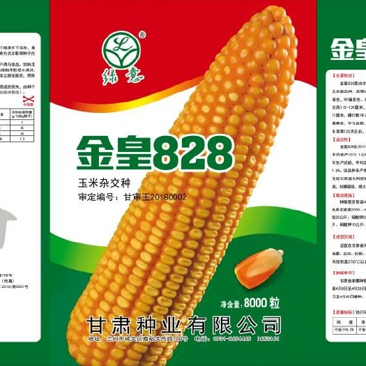 金皇828玉米种子 高产优品:芯子细、子粒长、棒子大、行数多、高抗倒、高抗病、