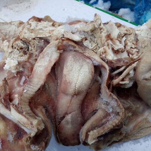 唐县 绵羊羊头肉22元一斤