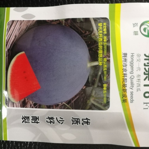 武汉黑皮西瓜种子 正圆少子黑皮西瓜