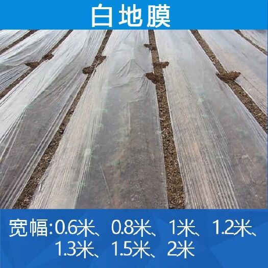 沭阳县农资白色地膜保温保湿农用膜吹塑膜白地膜黑地膜果园蔬菜大棚薄膜