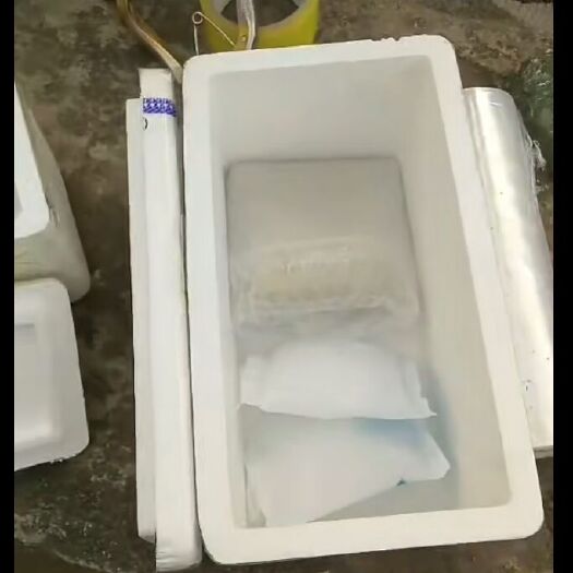杏花粉果树授粉专用