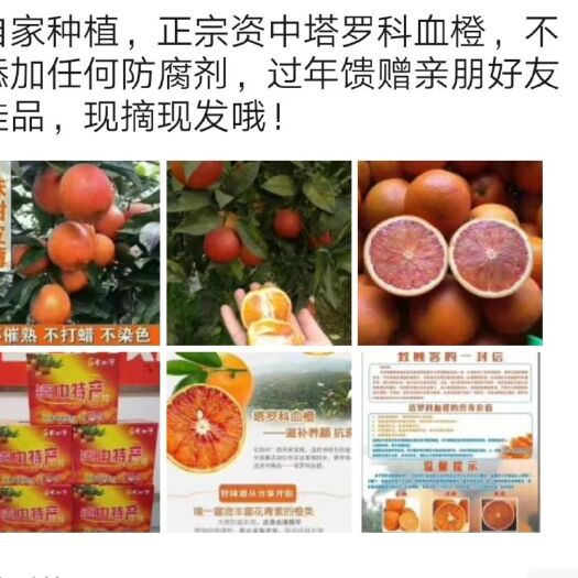 资中县塔罗科血橙 资中血橙 60 - 65mm