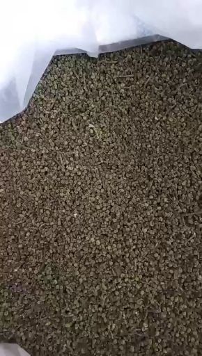 郎溪县 皖南吴茱萸干货，含杂1%