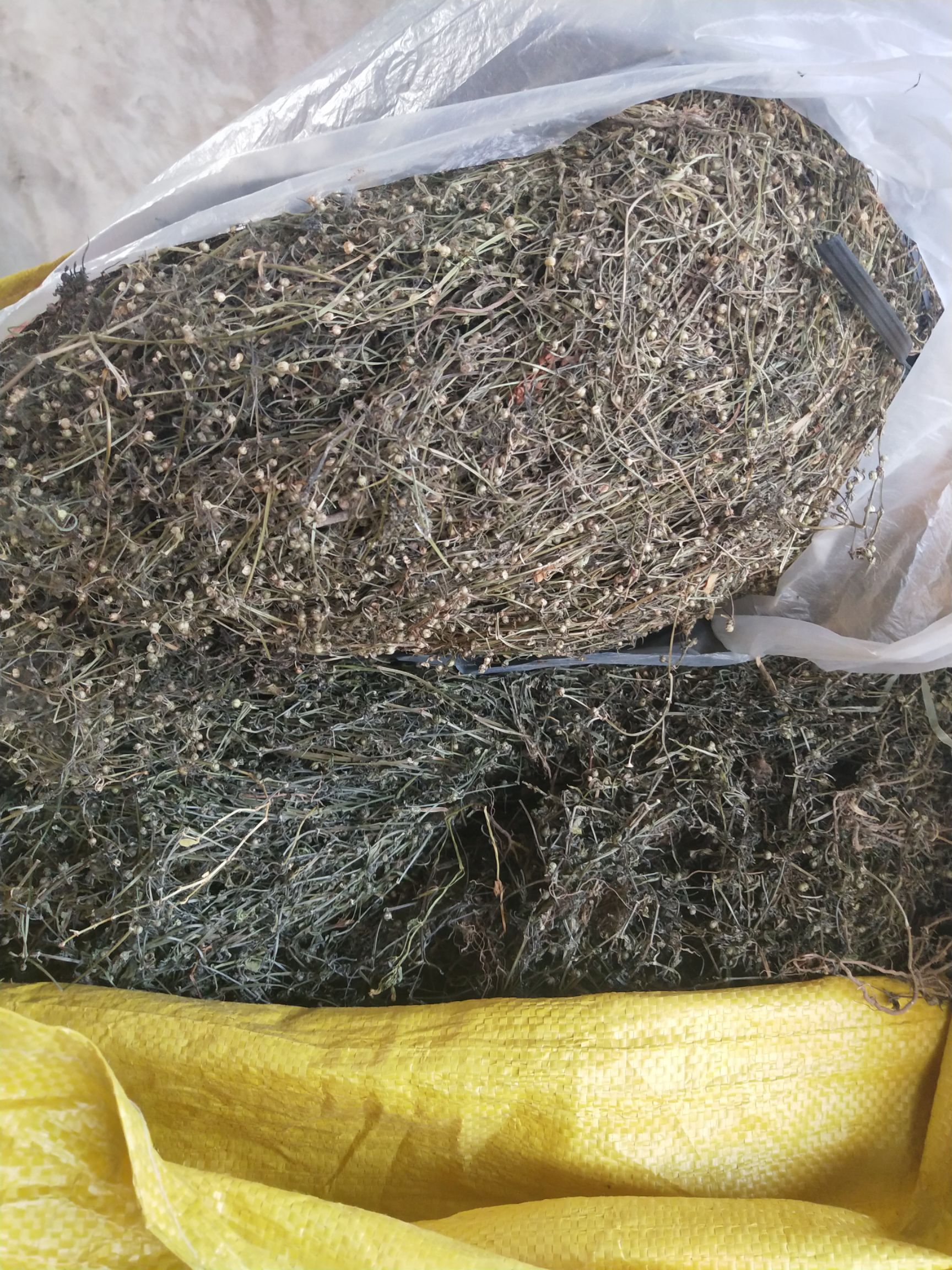 白花蛇舌草 白花舌草干货12元一斤