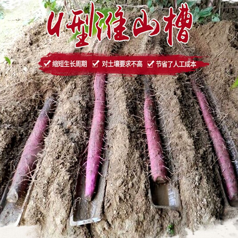 其它农资  【淮山槽】淮山定向槽淮山种植浅生槽淮山种植塑料u型槽