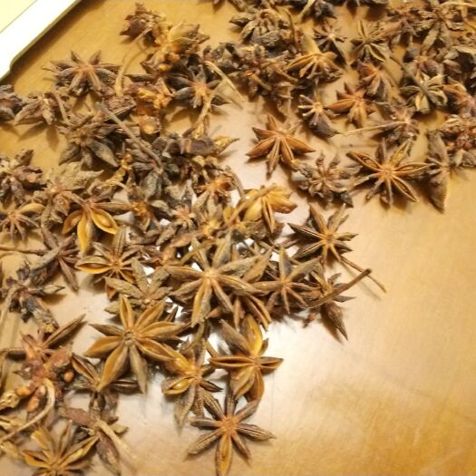 昭平县 八角