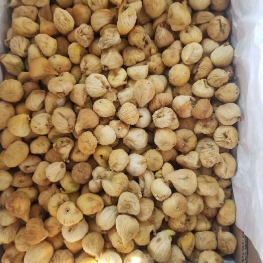 乌鲁木齐无花果干 散装 半年