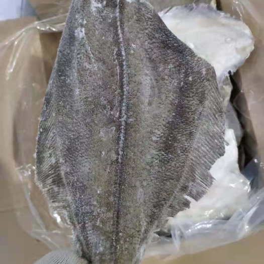 保定 勘察加鲽鱼，比目鱼身，净重10公斤，一箱12条左右，