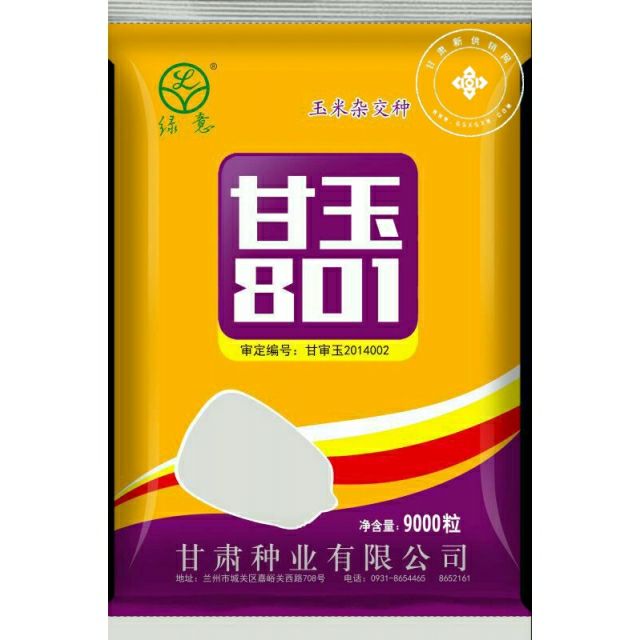 武威甘玉801玉米种子 产量高，品质好，不倒杆，不秃尖，穗位低，轴细粒长，抗旱抗病虫