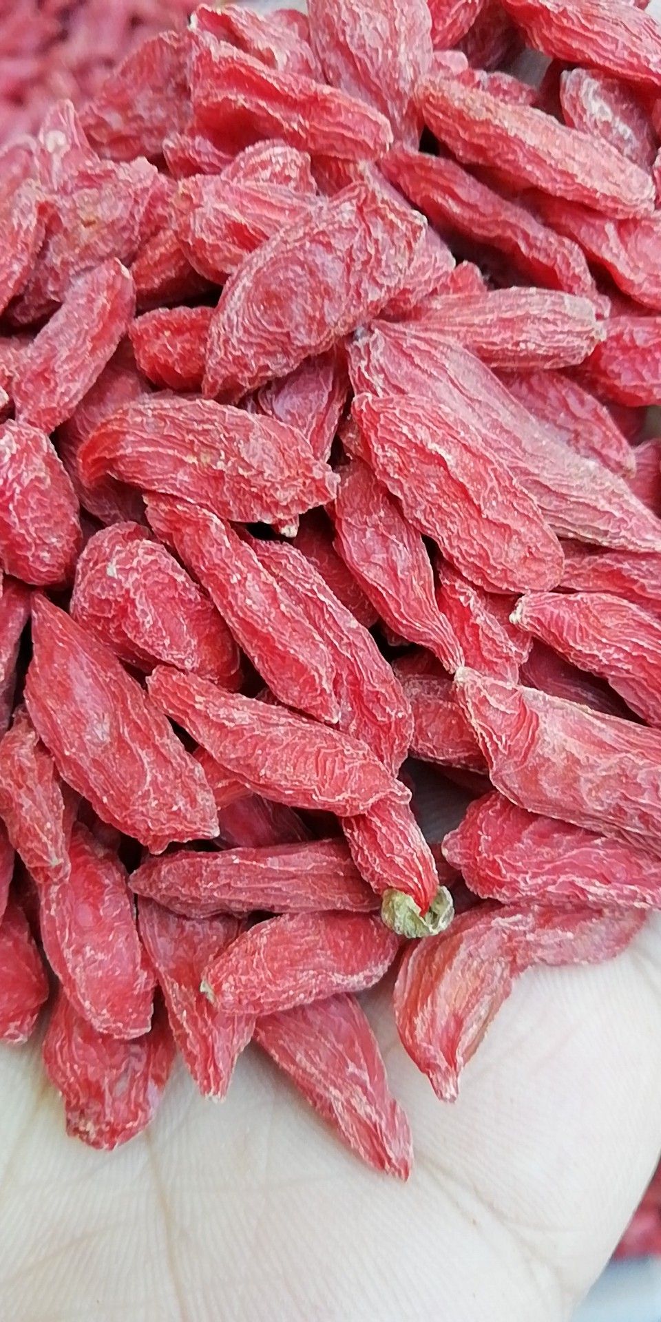 中宁县 药食两用枸杞之乡～宁夏中宁枸杞手工精选特干净质量保证