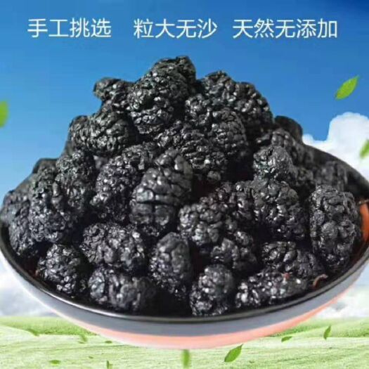 泊头市桑葚干  天然绿色