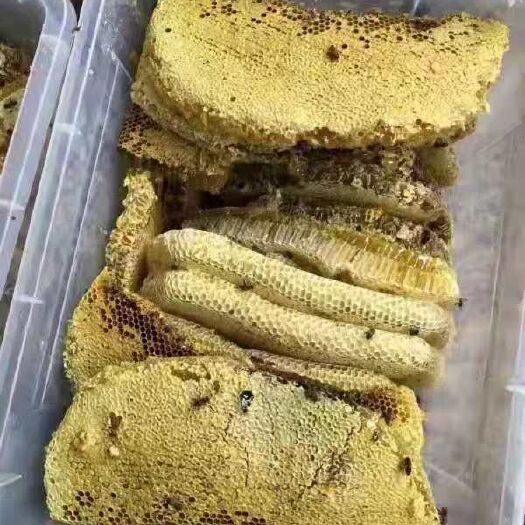 洋县土蜂蜜 塑料瓶装 2年以上 