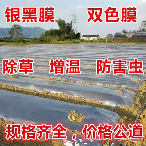 果园果树双色银黑地膜反光除草防虫保湿农用薄膜葡萄银灰净重地膜