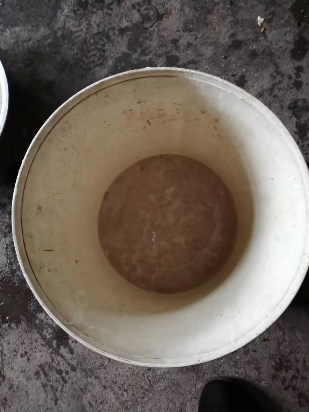 蕨根淀粉  新宁美食～越城岭蕨根粉粑粑