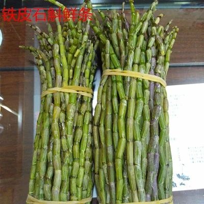 无锡 铁皮石斛鲜条