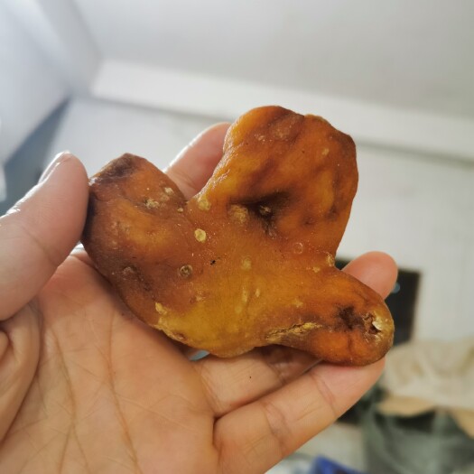 广州 甜黄精