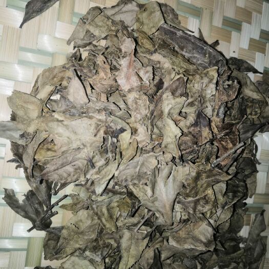 梧州广西六堡茶 六堡茶老茶婆