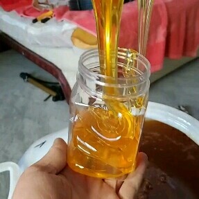 南京枣花蜜 塑料瓶装 2年以上 95%以上