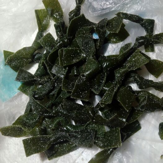 荣成市 原菜海带扣泡发1:2.泡发的颜色很美。