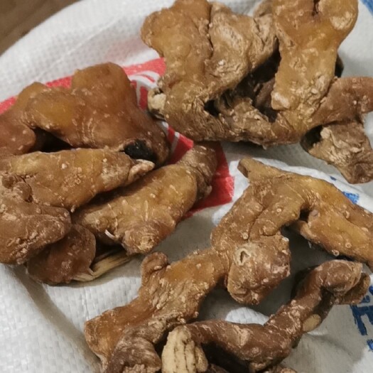 广州 黄精干货