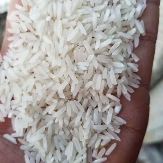 瑞丽市 缅甸大米长期稳定供应