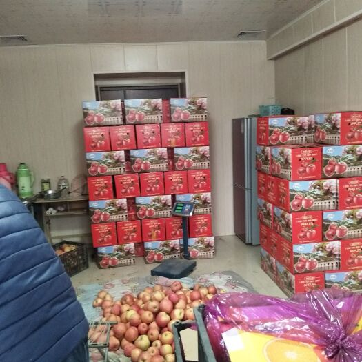 昌黎县金帅苹果 本人大量出售膜代黄金帅，因疫情到至低价出库。