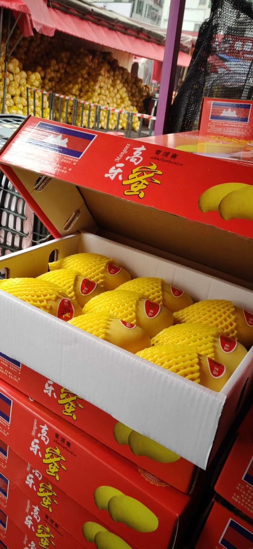 高乐蜜 高乐密过年礼盒