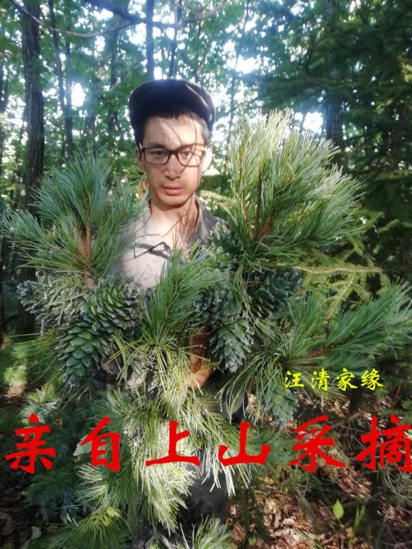 东北松子 新鲜野生开口大松籽坚果年货500克包邮