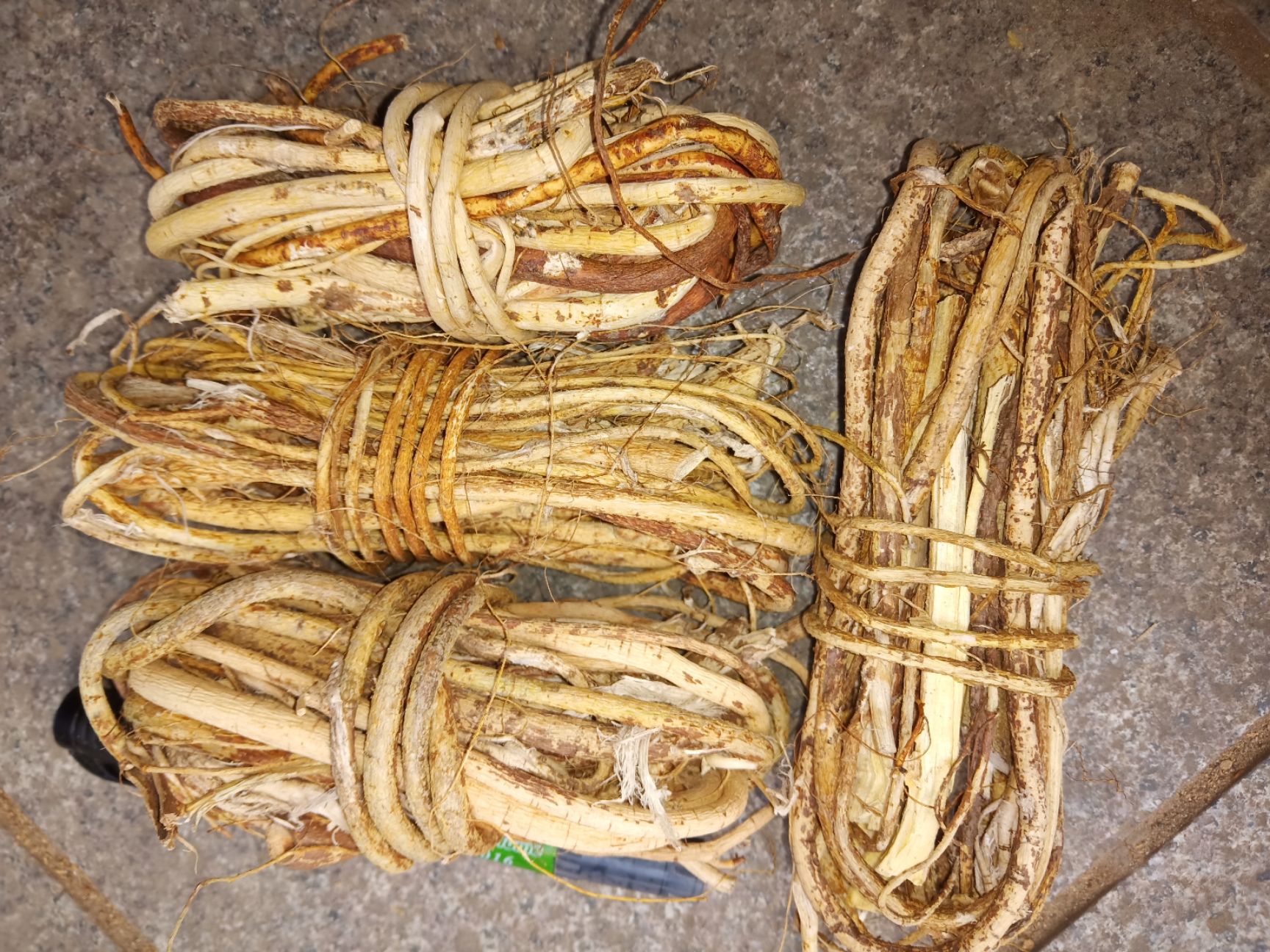 五指毛桃。山挖   小条根部扎把  无硫！小条切段干货