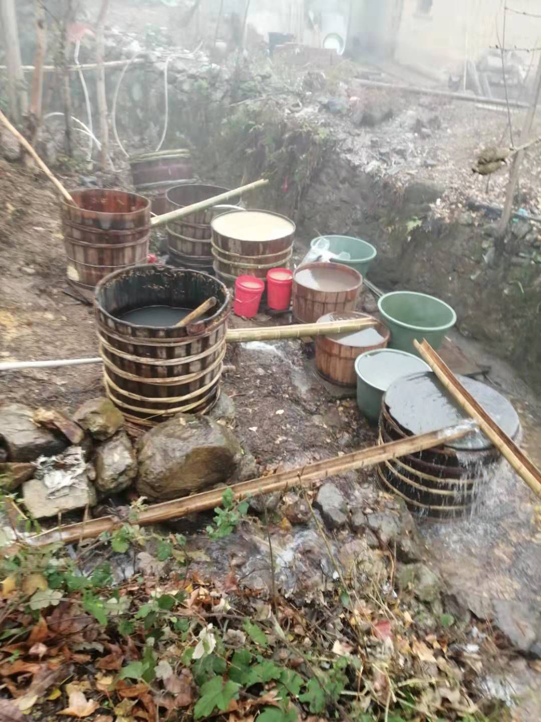 蕨根淀粉  新宁美食～越城岭蕨根粉粑粑