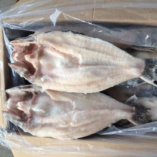 深圳冷冻巴沙鱼 冰冻鲜肉