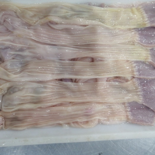 沂南县 鸭食带