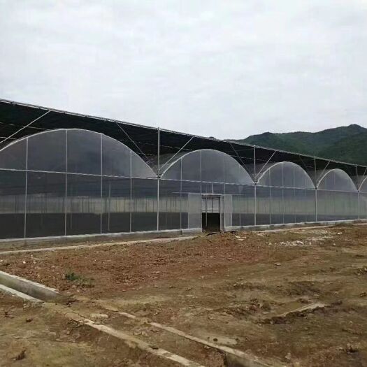 泊头市蔬菜大棚