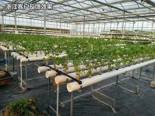  地钉厂家直销倒刺塑料防草布地布钉大棚固定地钉24小时量大包