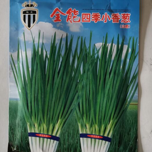 四季小葱种子  小香葱种子 大田菜园高产易种 香味浓生长快清香小葱种子蔬菜