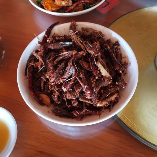 景洪市 新鲜速冻蚂蚱