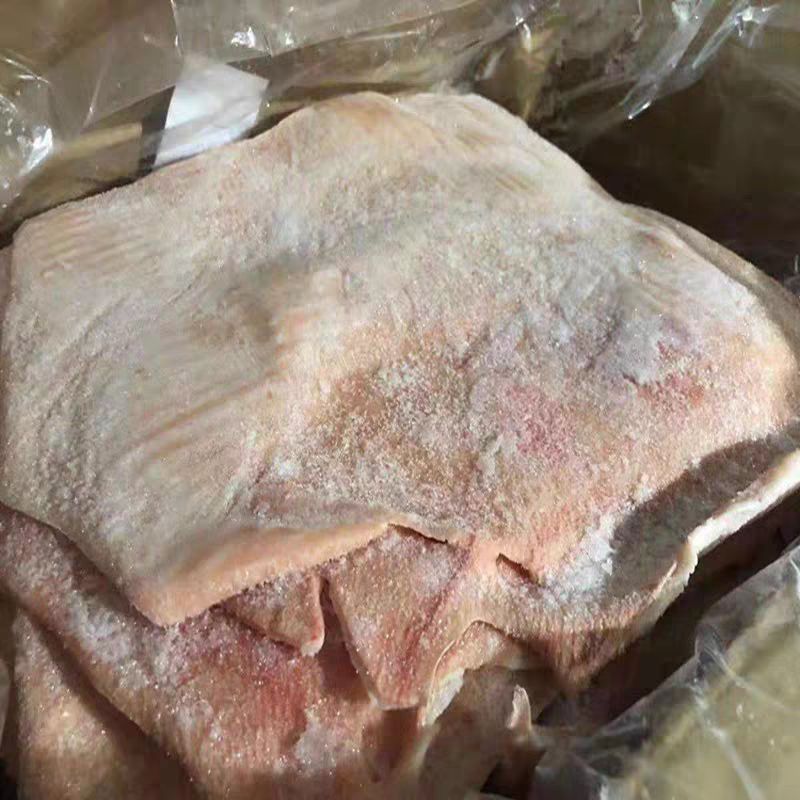 南京 猪皮冷冻新鲜猪皮猪肉皮猪腹皮大皮饭店烧烤食材 20斤