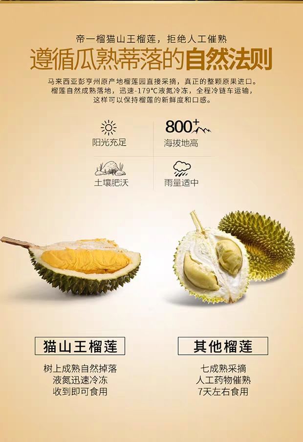  速冻金枕榴莲 榴莲肉 一件代发全国