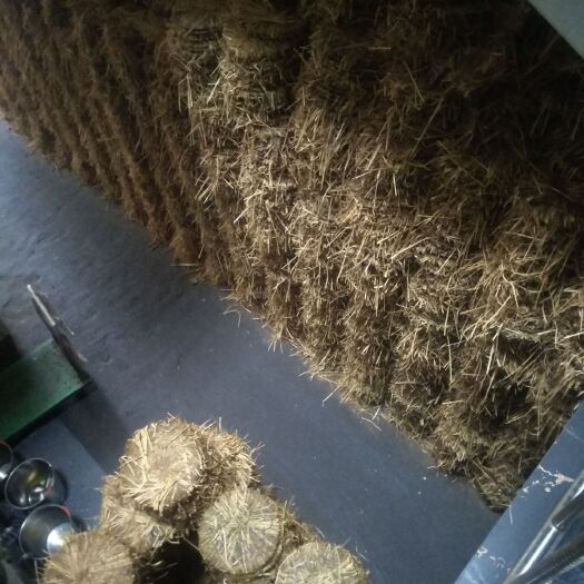 蓝山县茶枯