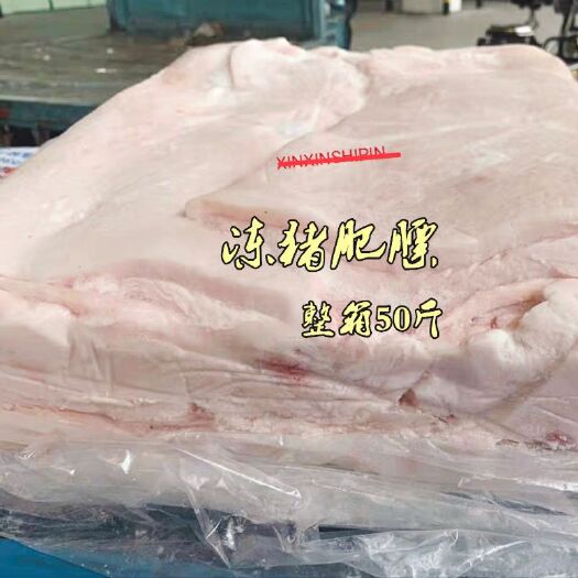 南京新鲜冷冻猪肥膘肉 生猪膘 厚肥膘 猪板油整箱50斤