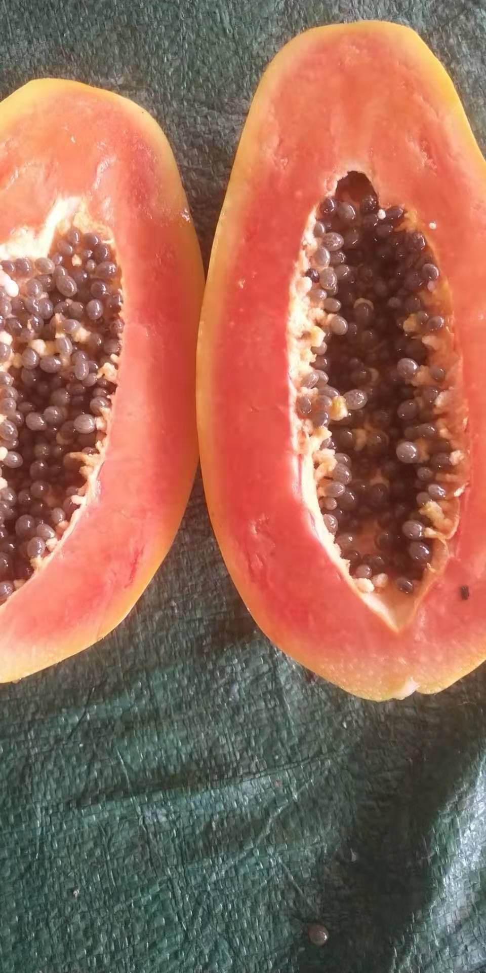  年货红心木瓜