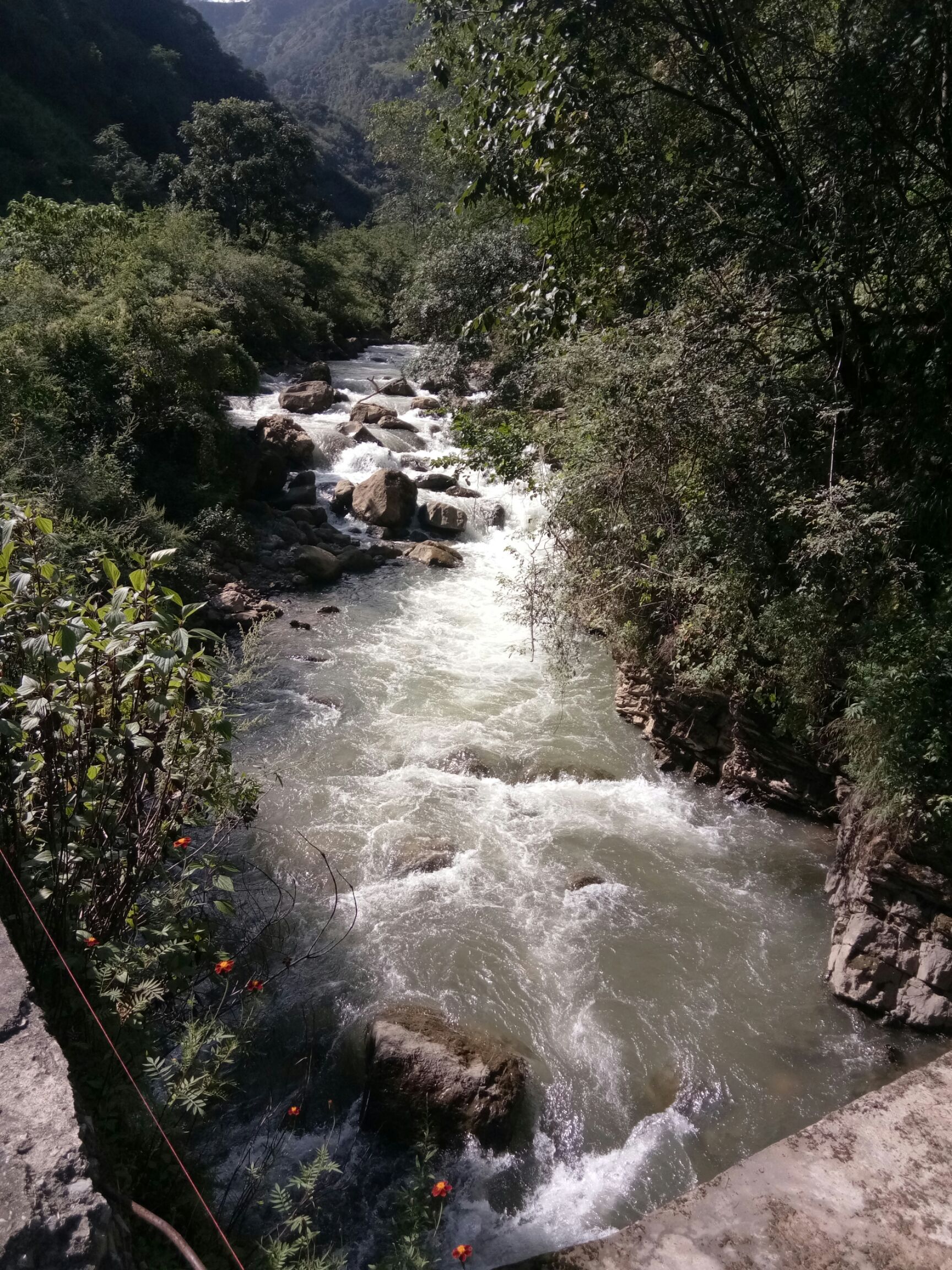  高山蜂蜜，味道纯正，农家卖货