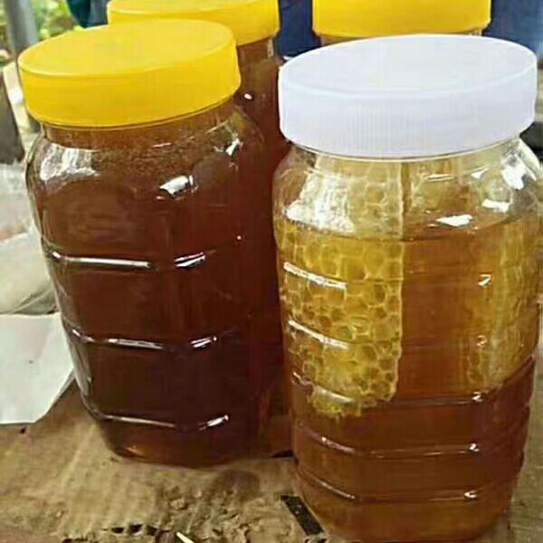  高山蜂蜜，味道纯正，农家卖货