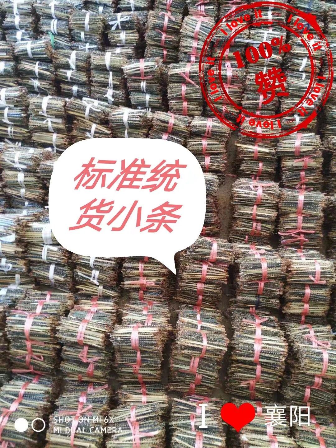 蜈蚣