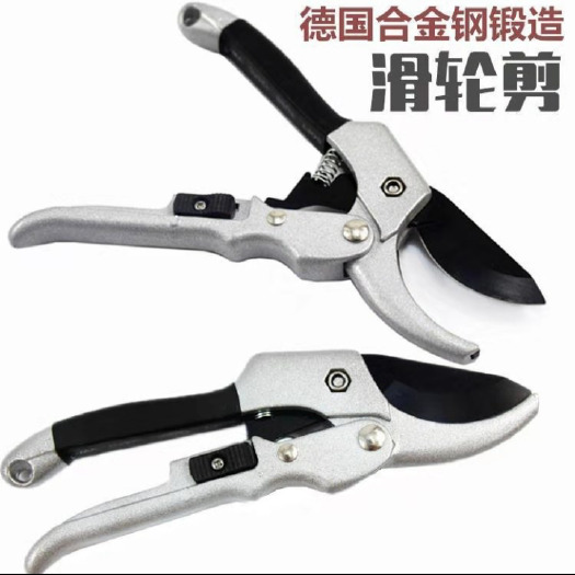 修枝剪刀 【枝果樹(shù)修剪樹(shù)枝園藝剪枝剪刀花藝工具修花粗枝園林家用大力剪子