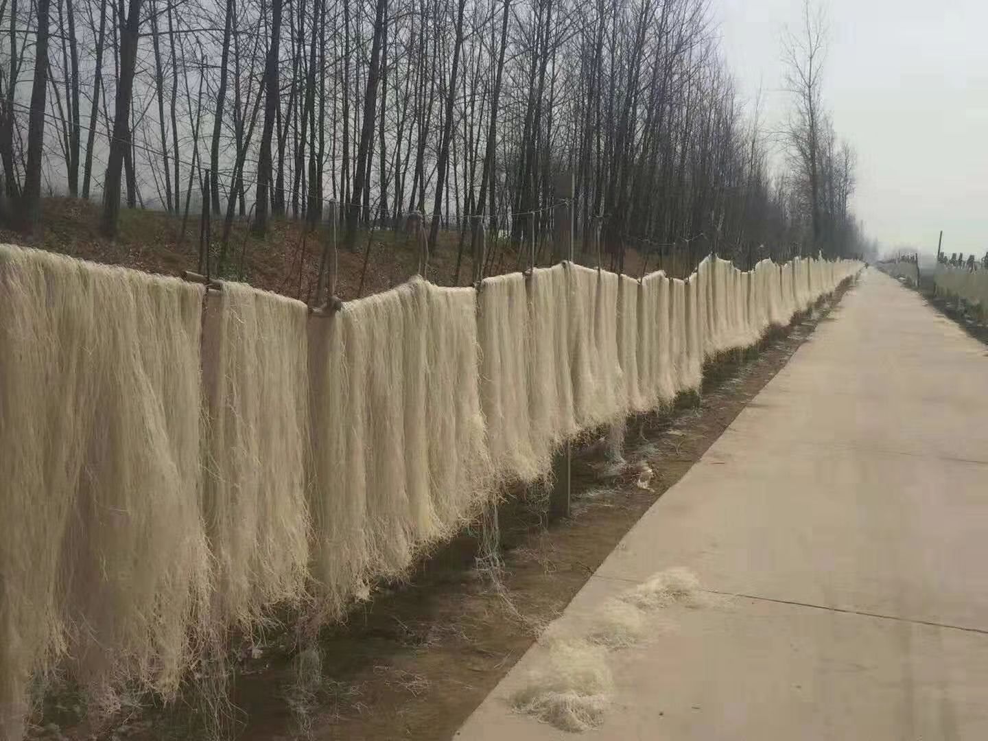  正宗红薯粉丝，剂。