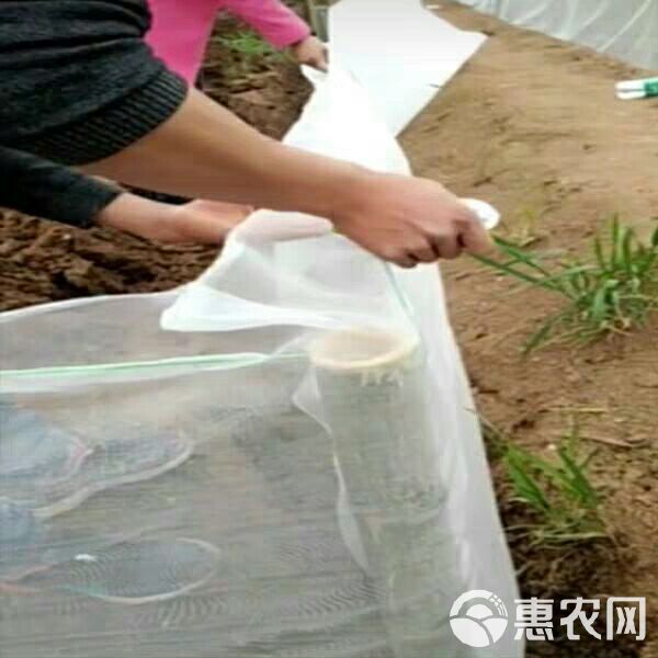 青蛙养殖网防逃网水蛭螃蟹泥鳅龙虾黄鳝隔离网40目60目