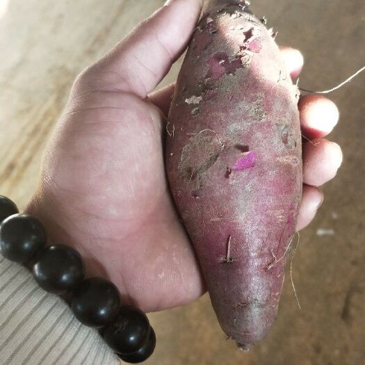 海丰县冰淇淋红薯 一点红    冰淇淋