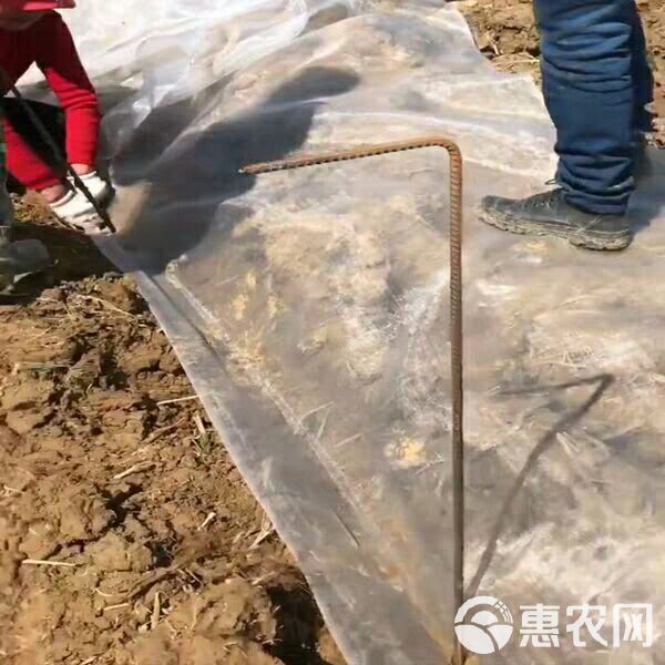 青蛙养殖网防逃网水蛭螃蟹泥鳅龙虾黄鳝隔离网40目60目